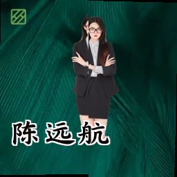 陈远航