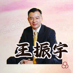 王振宇